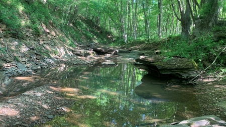 Turn Key Ohio Hunting Property - image 15