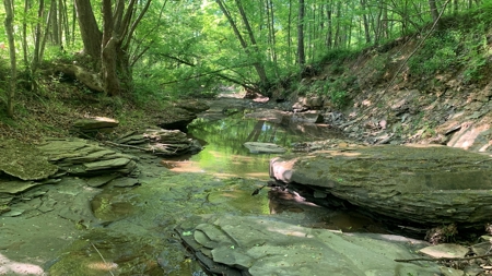 Turn Key Ohio Hunting Property - image 14