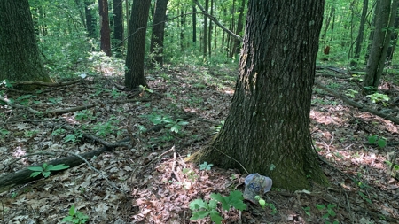 Turn Key Ohio Hunting Property - image 45