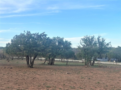 Home for sale in Queen NM. Property for sale in Queen NM - image 4