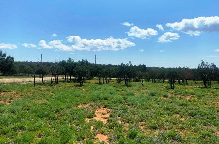 Home for sale in Queen NM. Property for sale in Queen NM - image 17