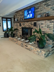 Canada Creek Ranch Home for Sale Atlanta MI - image 18