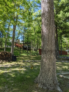 Canada Creek Ranch Home for Sale Atlanta MI - image 28