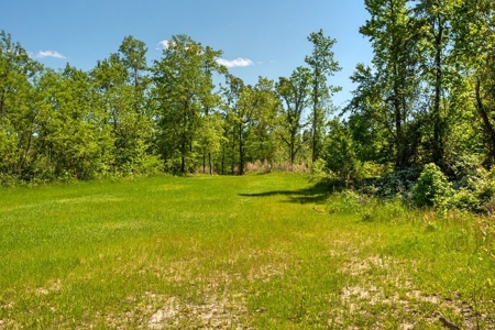 Waterfront Hunting Land for Sale in Port Gibson, MS - image 5