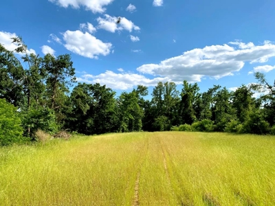 Waterfront Hunting Land for Sale in Port Gibson, MS - image 1