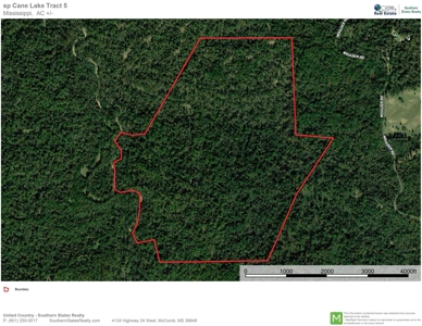 Waterfront Hunting Land for Sale in Port Gibson, MS - image 49