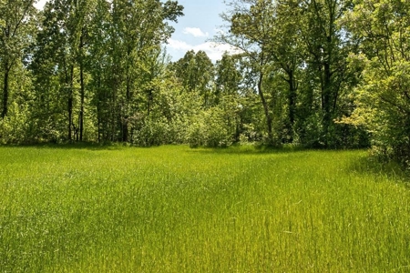 Waterfront Hunting Land for Sale in Port Gibson, MS - image 32