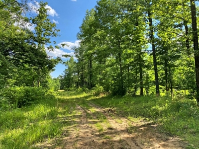Waterfront Hunting Land for Sale in Port Gibson, MS - image 34