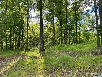Waterfront Hunting Land for Sale in Port Gibson, MS - image 24
