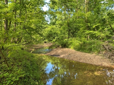 Waterfront Hunting Land for Sale in Port Gibson, MS - image 14