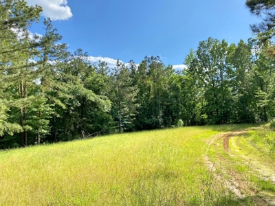 Waterfront Hunting Land for Sale in Port Gibson, MS - image 25