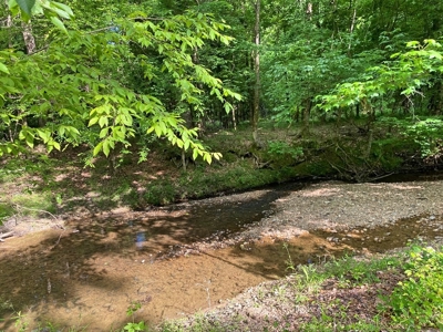 Waterfront Hunting Land for Sale in Port Gibson, MS - image 15