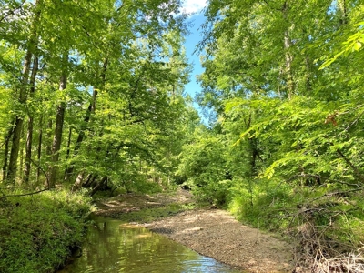 Waterfront Hunting Land for Sale in Port Gibson, MS - image 7