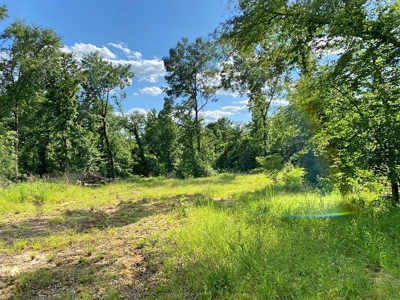 Waterfront Hunting Land for Sale in Port Gibson, MS - image 31