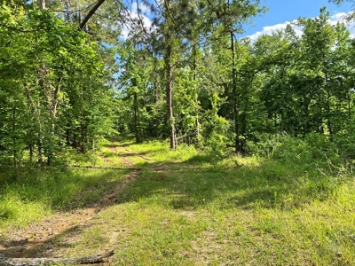 Waterfront Hunting Land for Sale in Port Gibson, MS - image 35