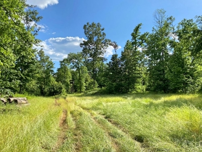 Waterfront Hunting Land for Sale in Port Gibson, MS - image 21