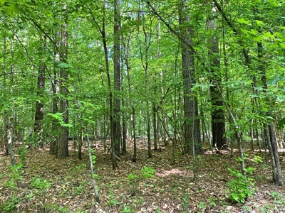 Waterfront Hunting Land for Sale in Port Gibson, MS - image 39