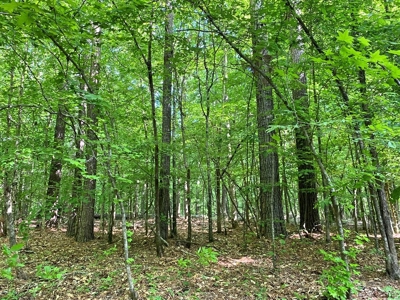 Waterfront Hunting Land for Sale in Port Gibson, MS - image 40
