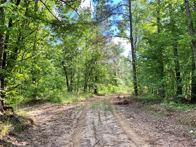 Waterfront Hunting Land for Sale in Port Gibson, MS - image 26