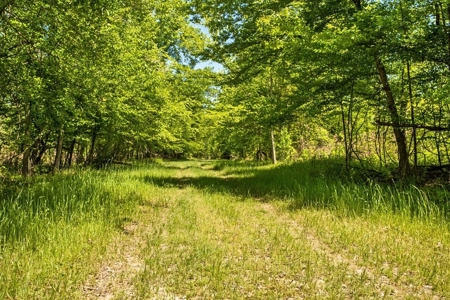 Waterfront Hunting Land for Sale in Port Gibson, MS - image 47