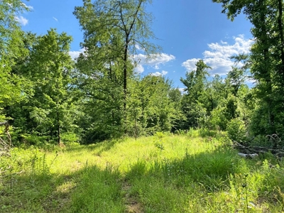 Waterfront Hunting Land for Sale in Port Gibson, MS - image 30