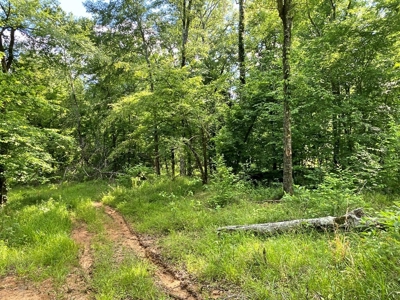Waterfront Hunting Land for Sale in Port Gibson, MS - image 29