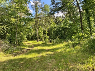 Waterfront Hunting Land for Sale in Port Gibson, MS - image 36
