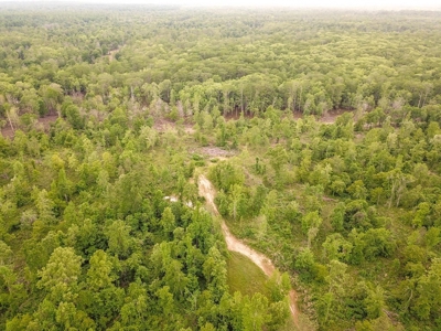 Waterfront Hunting Land for Sale in Port Gibson, MS - image 43