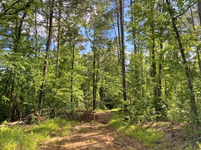 Waterfront Hunting Land for Sale in Port Gibson, MS - image 20