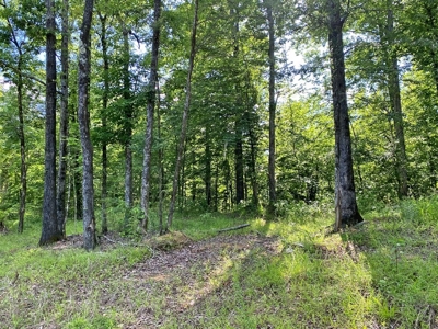 Waterfront Hunting Land for Sale in Port Gibson, MS - image 23