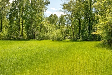 Waterfront Hunting Land for Sale in Port Gibson, MS - image 45