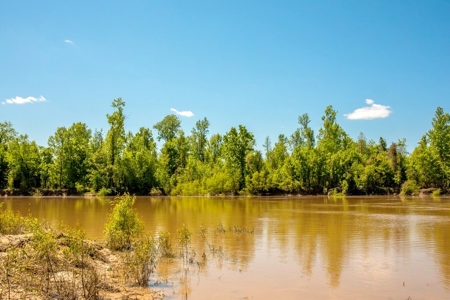 Waterfront Hunting Land for Sale in Port Gibson, MS - image 5