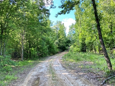 Waterfront Hunting Land for Sale in Port Gibson, MS - image 13