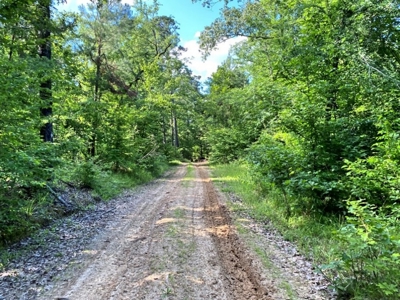 Waterfront Hunting Land for Sale in Port Gibson, MS - image 23