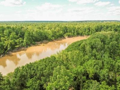 Waterfront Hunting Land for Sale in Port Gibson, MS - image 1