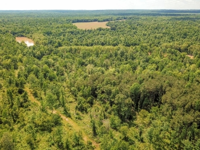 Waterfront Hunting Land for Sale in Port Gibson, MS - image 34