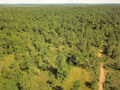 Waterfront Hunting Land for Sale in Port Gibson, MS - image 29