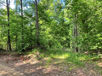 Waterfront Hunting Land for Sale in Port Gibson, MS - image 18