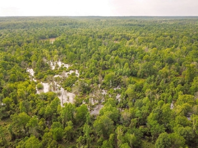 Waterfront Hunting Land for Sale in Port Gibson, MS - image 39