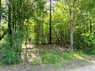 Waterfront Hunting Land for Sale in Port Gibson, MS - image 11