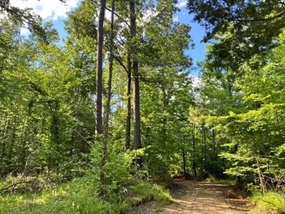 Waterfront Hunting Land for Sale in Port Gibson, MS - image 20