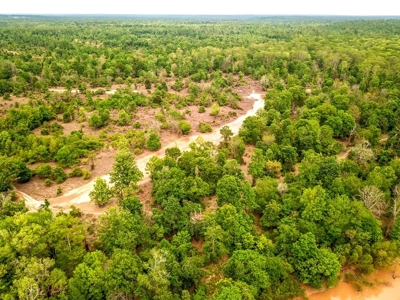 Waterfront Hunting Land for Sale in Port Gibson, MS - image 42