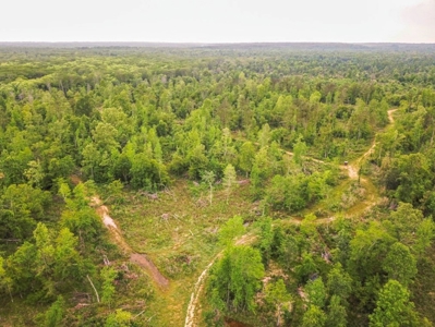 Waterfront Hunting Land for Sale in Port Gibson, MS - image 36