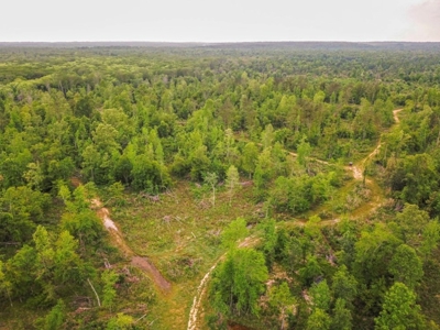 Waterfront Hunting Land for Sale in Port Gibson, MS - image 2