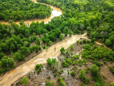 Waterfront Hunting Land for Sale in Port Gibson, MS - image 43