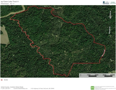 Waterfront Hunting Land for Sale in Port Gibson, MS - image 47