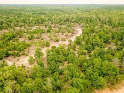 Waterfront Hunting Land for Sale in Port Gibson, MS - image 4