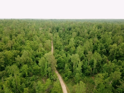 Waterfront Hunting Land for Sale in Port Gibson, MS - image 37