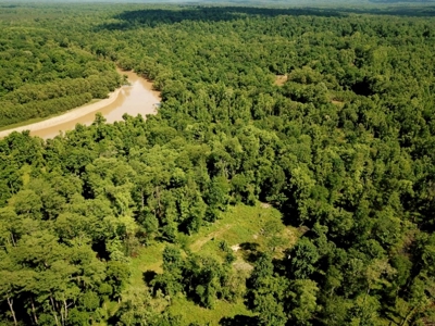 Waterfront Hunting Land for Sale in Port Gibson, MS - image 31