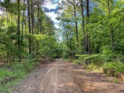 Waterfront Hunting Land for Sale in Port Gibson, MS - image 24